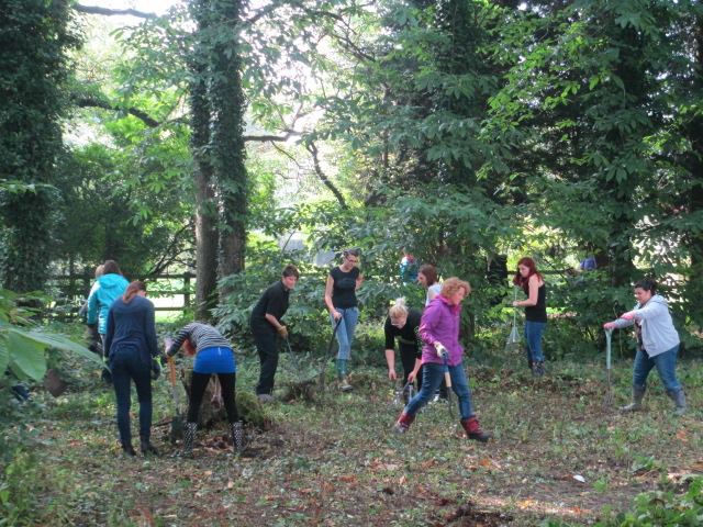 Forest School sessions